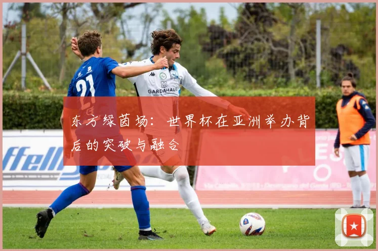 东方绿茵场:世界杯在亚洲举办背后的突破与融合