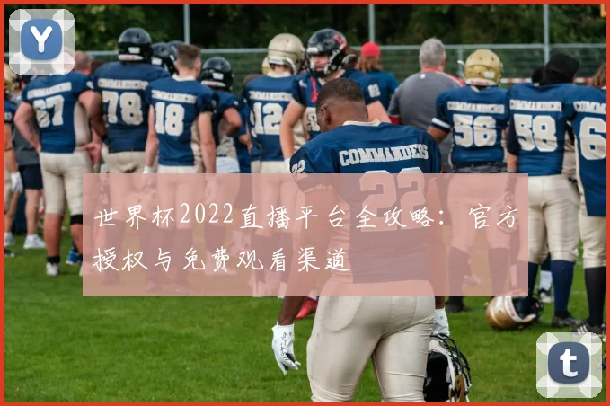 世界杯2022直播平台全攻略:官方授权与免费观看渠道