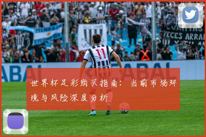 世界杯足彩购买指南：当前市场环境与风险深度分析