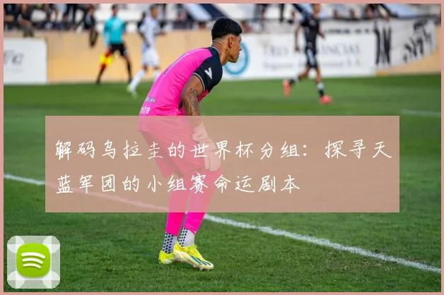 解码乌拉圭的世界杯分组：探寻天蓝军团的小组赛命运剧本
