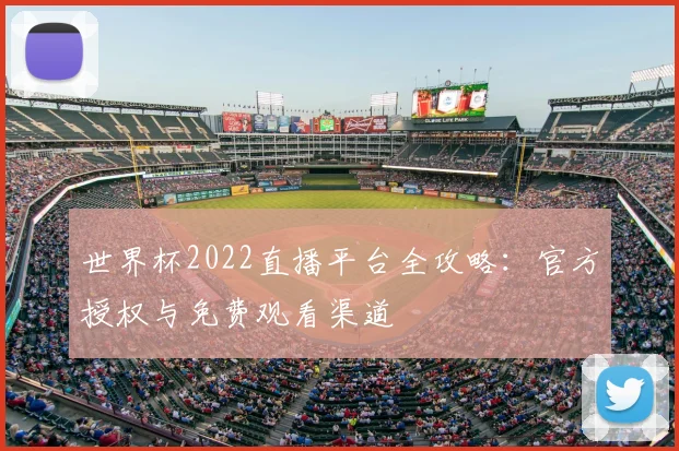 世界杯2022直播平台全攻略:官方授权与免费观看渠道