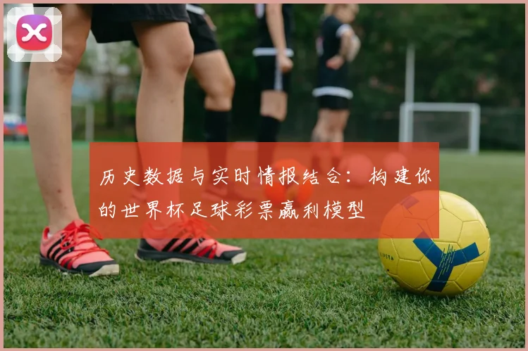 历史数据与实时情报结合：构建你的世界杯足球彩票赢利模型