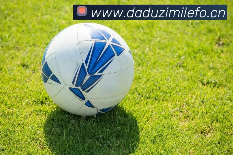 hth华体官方app下载平台生态图